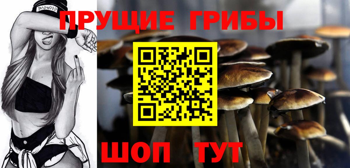 Псилоцибиновые грибы Cubensis  Вход с VPN  Черногорск 